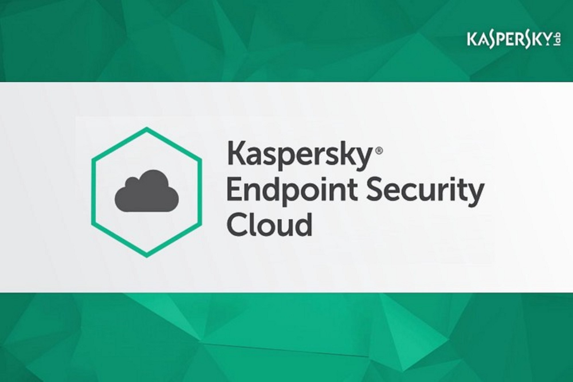 Kaspersky Cloud-Based Endpoint Security - Safeguarding Your Digital Environment